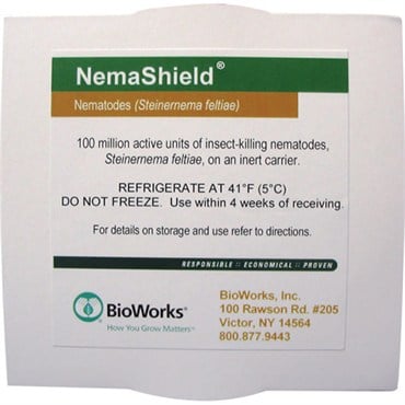 BioWorks NemaShield 100 Mil Pack (Direct) Steinernema feltia (2 packs of 50 mil each) (Fungus gnat, Shorefly, Thrips )