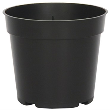 DLN 04.00 RND STD T/W BLK 1550/CS 28CS/PL