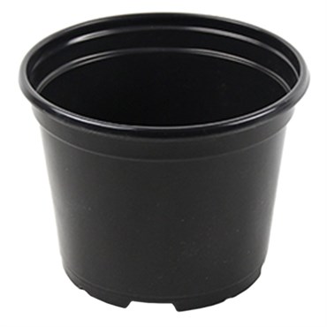 Grower Select 06.00 Coex Azalea Round Pot Black 660/CS