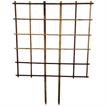 A&G 5'x5' Espalier Trellis