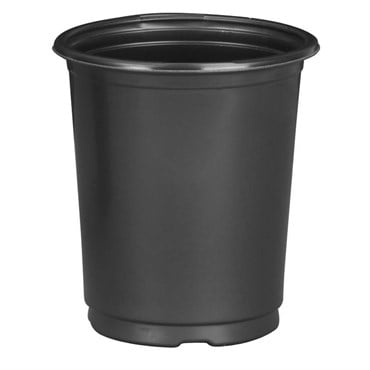 DLN 01.00QT PER TL TAG SLOT COEX Black 432/CS 33CS/PL