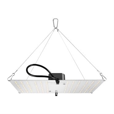 HLG 100 V2 Samsung White Light Fixture - 1 Each