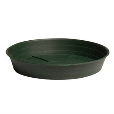 HDF 12" Green Saucer