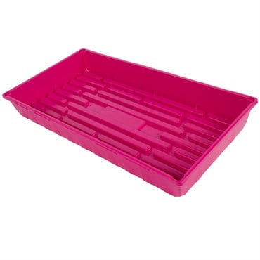 SunPack 10"x20" MegaTray I.D. Magenta