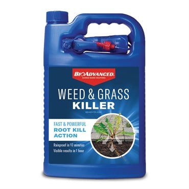 BioAdv 1Gal Weed & Grass Killer RTU