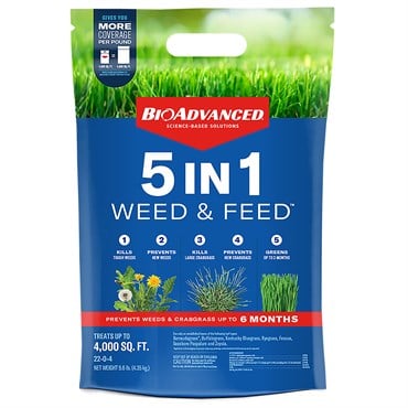 BioAdv 9.6