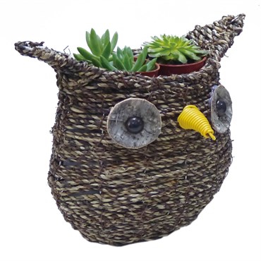 Gardener Select 9.5" Medium Owl Rattan Rope Topiary 12/CS