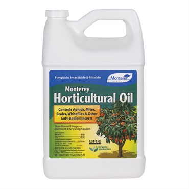 Monterey Gal Horticultural Oil