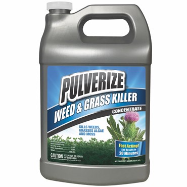 Pulverize 1gal Weed & Grass Killer Liquid Concentrate