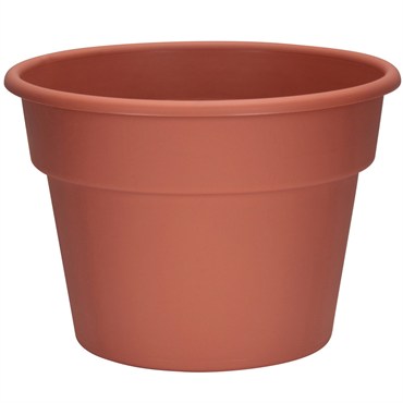 DLN 12.00 COLOR POT 1 CL 28/CS 48CS/PL