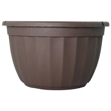 Grower Select 11.00 Serenity Hanging Basket Chocolate With Plastic 3 Strand Hanger 72/CS