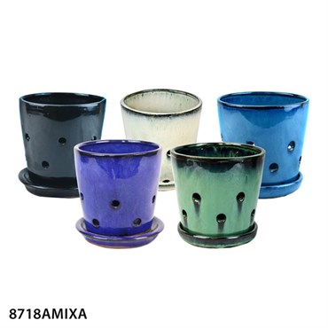 MCarr 12PC 5.5" Round Orchid Pot Mixed Asst