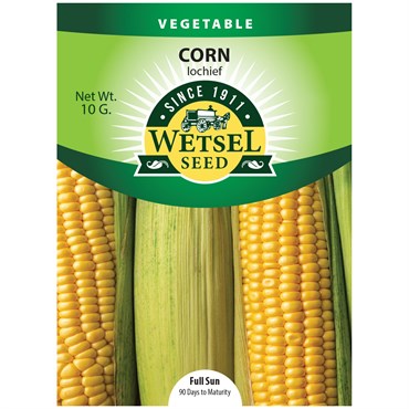 Corn, Iochief Treated - 10 Gram