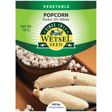 Popcorn, Perdue 305 White - 10 Gram