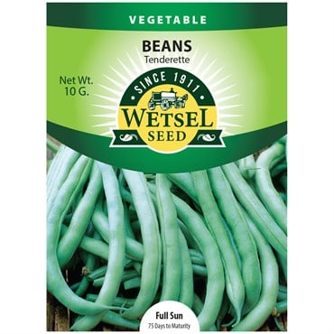 Beans, Tenderette Bush - 10 Gram