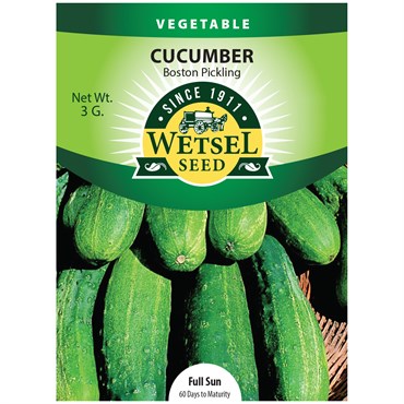 Cucumber, Boston Pickling - 3 Gram