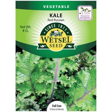 Kale, Red Russian Kale - 4g