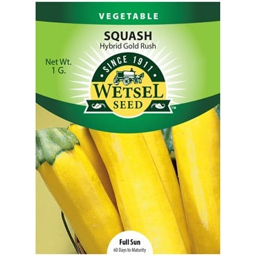 Squash, Gold Rush - 1 Gram
