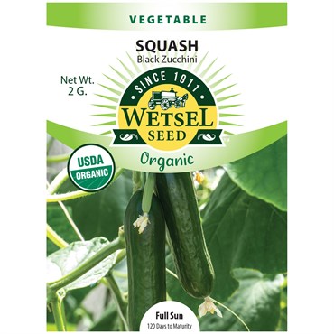 Organic Black Zucchini Squash - 2 Gram