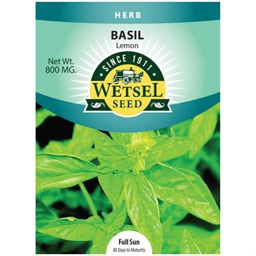 Basil, Lemon 800mg