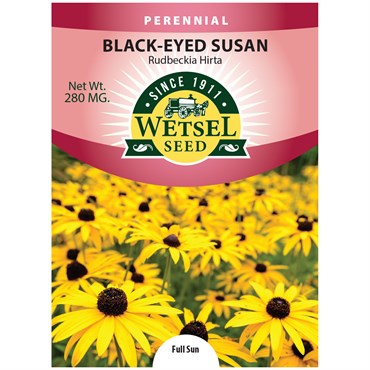 DAISY, RUDBECKIA HIRTA 280 MG