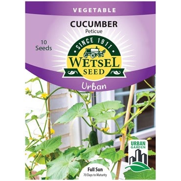 Cucumber, Peticue (patio) - 10 Seeds