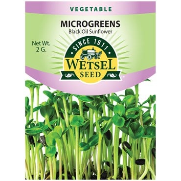 Microgreens, Black Oil Sunflower - 2 Gram