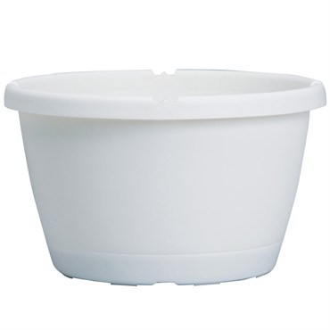 ITML HTS1200 12.00 TRAD SL HP & DIVIDER WHT 50/CS