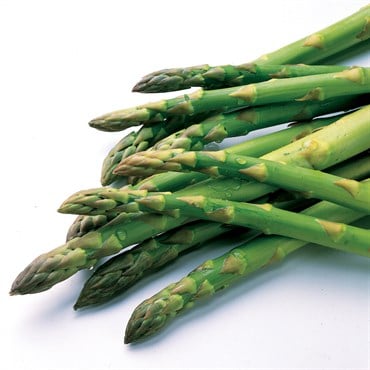 Asparagus, Jersey Knight - 25/Bundle