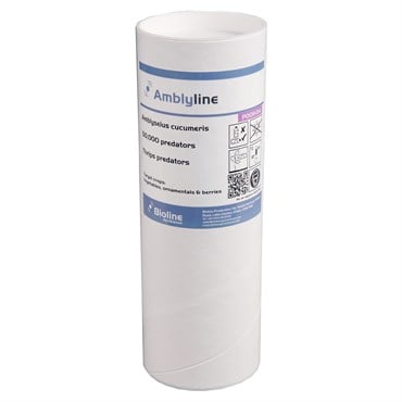 Amblyseius ( Neoseiulus ) cucumeris 50,0, 1 liter tube, bran/vermiculite carrier ( Thrips )