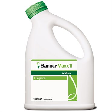 Syngenta Banner Maxx II 1Gl (2/Cs) AGENCY ( propiconazole )