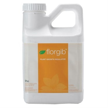 Fine Florgib 4L 1Gl (4/Cs) HAZ ( Gibberellic Acid )