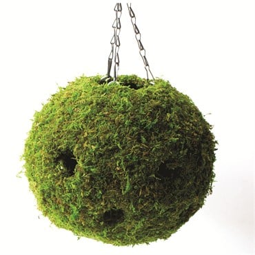 SuperMoss 12" Woven Moss Ball Planter