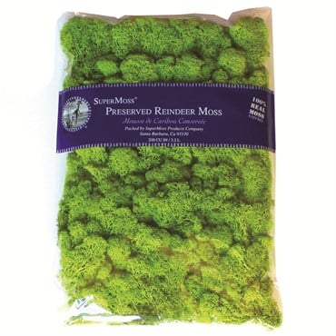 SuperMoss 8oz Reindeer Moss Chartreuse