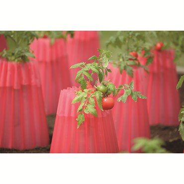 Bosmere Kozy Coats Water Filled Teepee Plant Protector 2PK