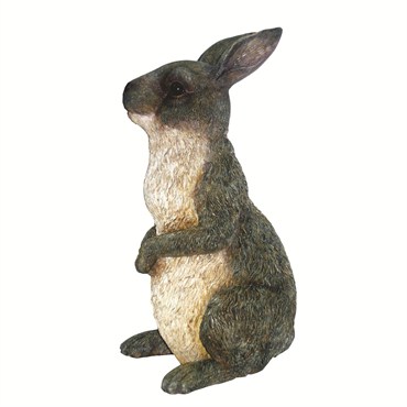 MCarr Peter Rabbit Gray