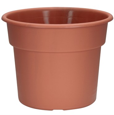 DLN 12.00 COLOR POT 2 TL CL 40/CS 32CS/PL