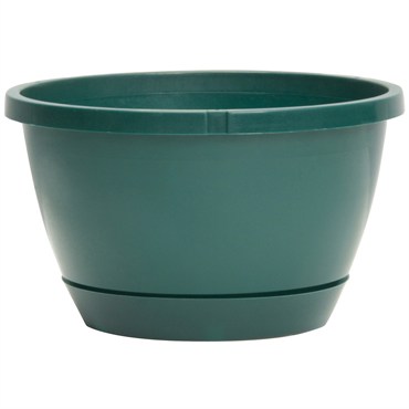 DLN 10.00 TRAD 2 WS HB NO HGR 300GN 50/CS 36CS/PL