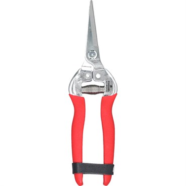Corona Long Straight Snip 12/CS