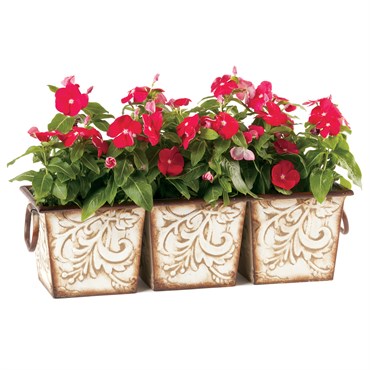 Deer Park 3 Pot Venetian Planter