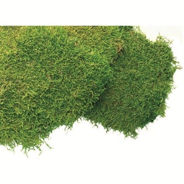 SuperMoss 1560cu in Bulk Sheet Moss Fresh Green (Covers 16-18sq ft)