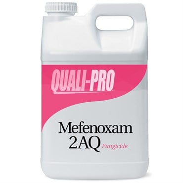 Mefenoxam 2AQ 2.5Gl 2/CS