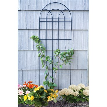 Panacea 72" Classic Trellis Black 4/CS