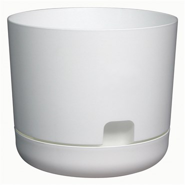 DCN 8" Oasis Self Watering Planter White