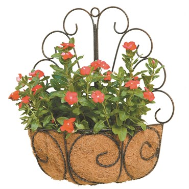 Deer Park Peacock Wall Basket With Coco Liner