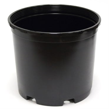 NS NS-1200 INJECTION MOLDED, TRADE SIZE TRUE 3 GALLON, 3 GALLON, BLACK 38/CS 36CS/TOWER (10-9/16"X9-1/2"), 3Gallon