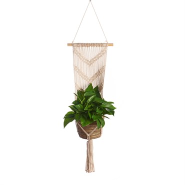 Primitive Large Wall Planter V