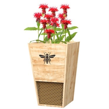 Woodlink Cedar Mason Bee House & Planter