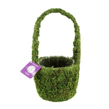 SuperMoss 4" Drop Deco Basket Vista Fresh Green