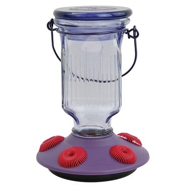 Perky Pet 16oz Glass Top Fill Hummingbird Feeder Lavender Field